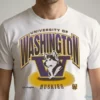 Washington Huskies Sandstone Team Flex Foundation T-Shirt 4 washington huskies sandstone team flex foundation t shirt 1